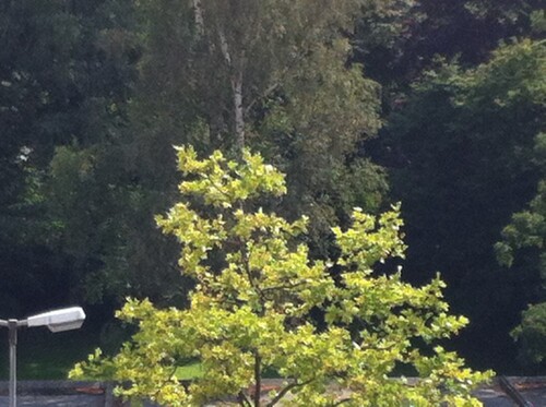 Aussicht - 