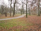 Blick Richtung Park 1 - 4 Zimmer Erdgeschoßwohnung zum Kaufen in Augsburg