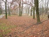 Blick Richtung Park 2 - 4 Zimmer Erdgeschoßwohnung in Augsburg