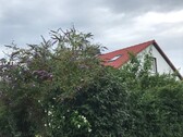 IMG_5750 - 