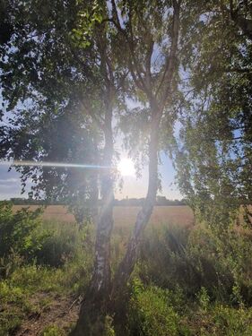 nature reserve walking distance - 