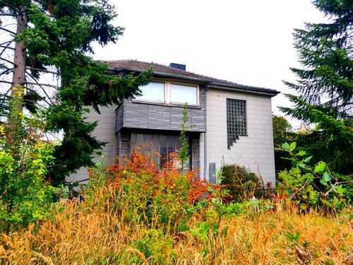 Seitenansicht_Haus - 