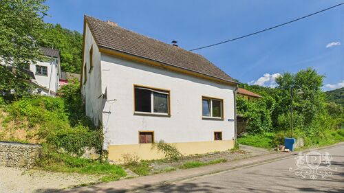 CAM01984G0-PR0506-STILL012 - 6 Zimmer Einfamilienhaus zum Kaufen in Wallendorf