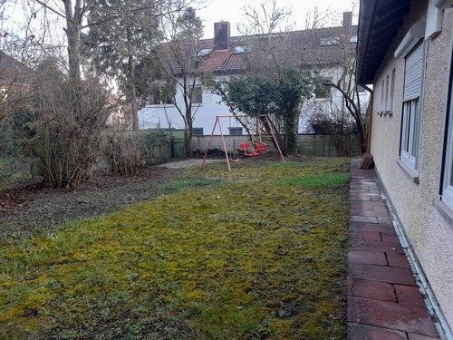 27 Garten 20250227_171238 - 