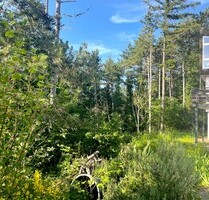 Naturnah: Traumhaus in Aussichtslage von Mosbach
