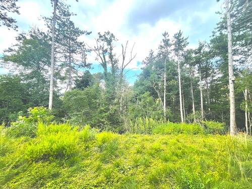 Garten und Aussicht - 