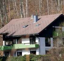 Schwarzwaldhaus Mehrfamilienhaus mit 3 Einheiten - Wohnen, wo die Seele zur Ruhe kommt - Bad Rippoldsau-Schapbach