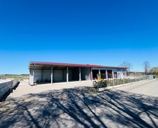 Moderne Gewerbeimmobilie (BJ 2023) mit offener und geschlossener Werkhalle, Büro und Wohnung - Horb am Neckar