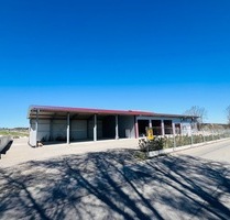 Moderne Gewerbeimmobilie (BJ 2023) mit offener und geschlossener Werkhalle, Büro und Wohnung - Horb am Neckar