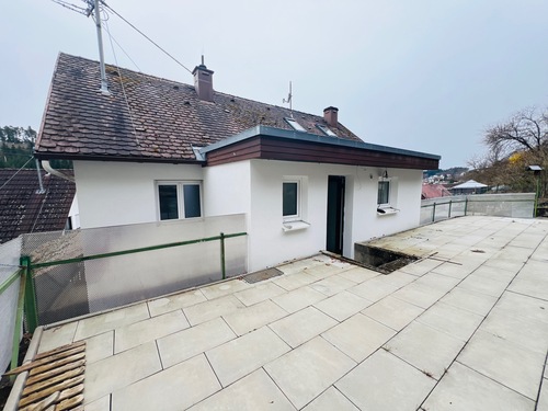 Haus hinten-Terrasse - Teilsaniertes Einfamilien-Mehrgenerationenhaus mit Terrasse, Garage und zusätzlichem Waldgrundstück