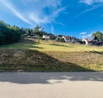 Baugrundstück für Ein- oder Zweifamilienhaus in Nagold-Pfrondorf