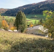 Anwesen mit 3.096 m² Grundstück - Verkauf an privilegierte Landwirte für privilegierte Vorhaben - Sulz am Neckar