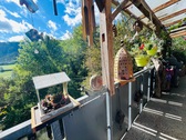 Terrasse und Aussicht - 