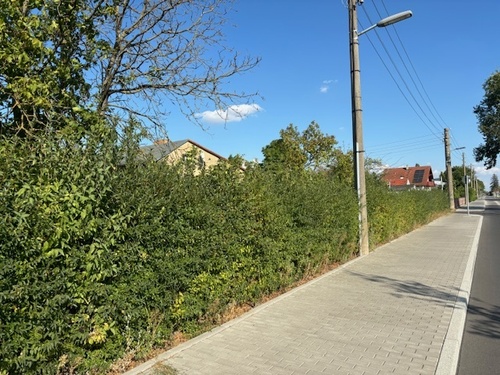 Anliegerstraße, Straße 3 - 