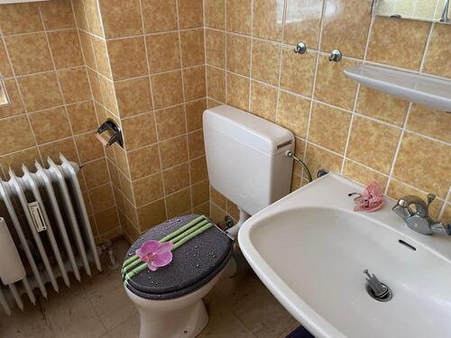 IMG-20250815-WA0058 - 