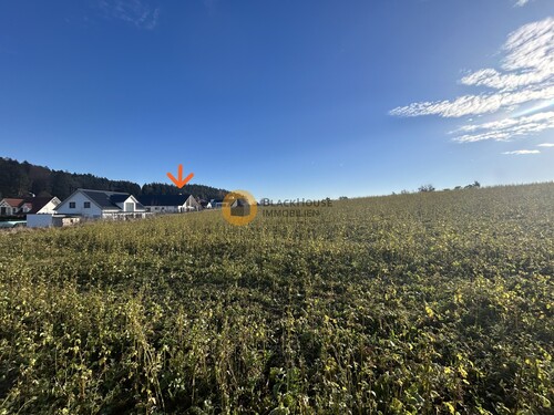 Aufnahme von Feldweg Richtung Haus - 