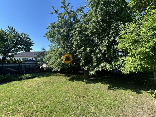 Garten mit Kirschbaum - 