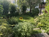 Blick in Garten Süd1 - 