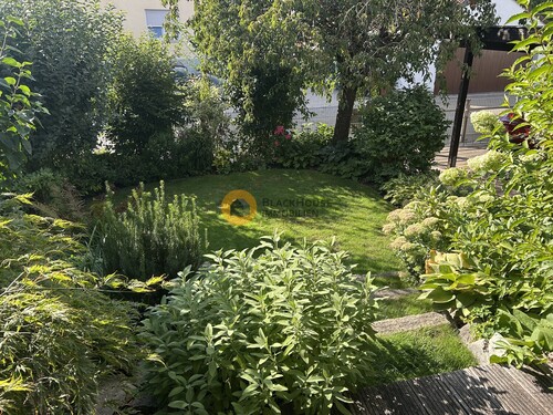 Blick in Garten Süd1 - 