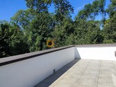 Blick von Rooftop in Auwäldchen - 