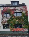 Haus von vorne - Schönes Haus mit 7 Zimmern in Bonn, Beuel