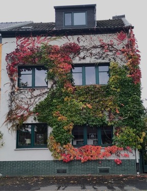 Haus von vorne - Schönes Haus mit 7 Zimmern in Bonn, Beuel