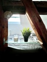 IMG_0230 - 