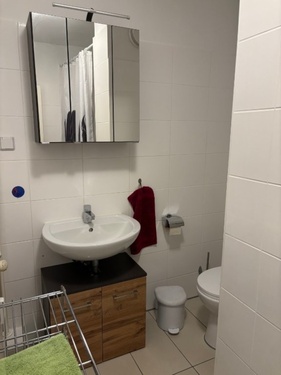 Duschbad1 - 1- Zimmer mit 14,00 m² in Berlin zur Miete