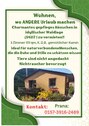 photo_5312060408787500997_y - 3 Zimmer Bungalow zur Miete in Herl