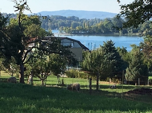 3 - 1- Zimmerwohnung mit 35,00 m² in Konstanz zur Miete