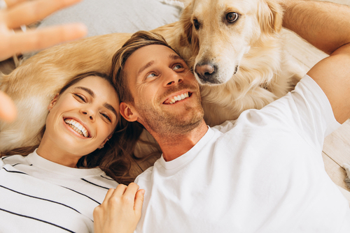 ELMBAU Dresden - Einfamilienhaus mit 13.097,00 m² in Weinböhla zum Kaufen