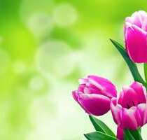 Haus zum Kaufen in Ottendorf-Okrilla 299.500,00 € 131 m²