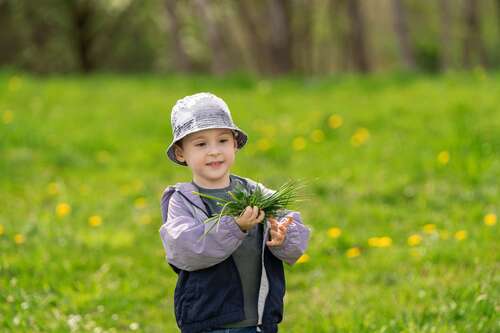 Foto - Haus zum Kaufen in Pulsnitz 299.500,00 € 131 m²