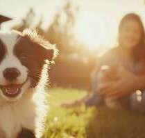 Haus zum Kaufen in Radebeul 379.500,00 € 148.93 m²