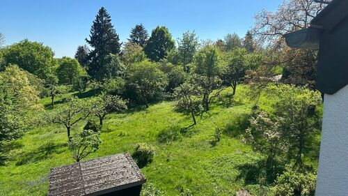 Garten - 11 Zimmer Einfamilienhaus in Kronberg im Taunus