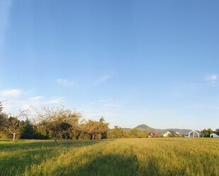 Leben wo die Rehe grase - 1.120,00 EUR Kaltmiete, ca.  75,00 m² Wohnfläche in Reutlingen (PLZ: 72764)