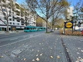 IMG_8815 - 