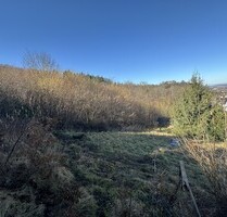 Grundstück mit Blick auf das Schloss Hohenlimburg - Hagen / Hohenlimburg
