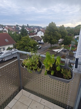 Südbalkon - 