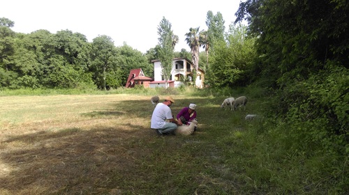 Fatma, ev GüneyKücük - 