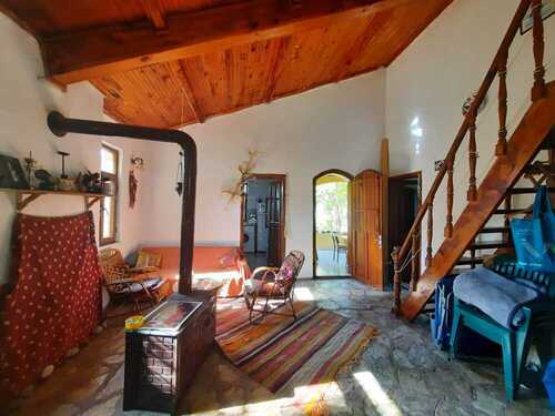 SAlon 3 2020-10-27 at 11.59.52 - 