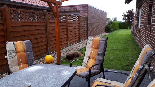 Terrasse 1 - 1- Zimmer in Großheide