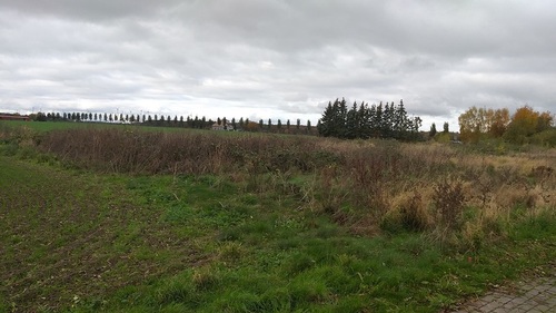 20241104_125648klein - Wegen Auswanderung: 2.270m2 Bau-Grundstück bei Greifswald /Ostsee