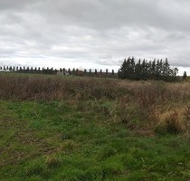 Wegen Auswanderung: 2.270m2 Bau-Grundstück bei Greifswald /Ostsee - Süderholz