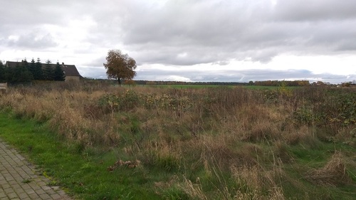 20241104_125733klein - Grundstück zum Kaufen in Süderholz