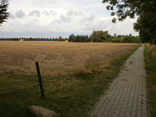 Grundstücksansicht 1 - Grundstück in Süderholz zum Kaufen