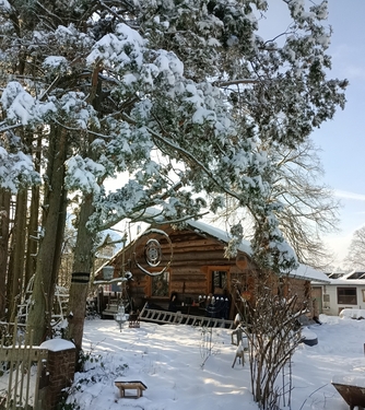 Grundstück im Winter - 