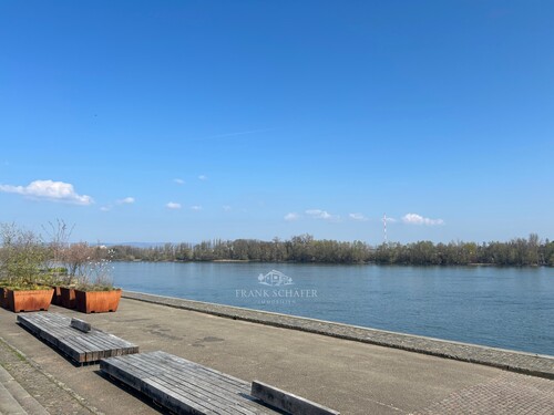 Spaziergänge am Rhein - 