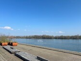 Spaziergänge am Rhein - 