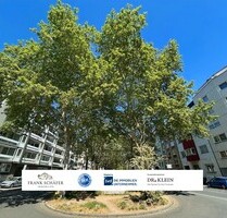 Gepflegte Bürofläche mit ca. 180m², sofort bezugsfrei, Nähe RheinChristuskirche - - Mainz